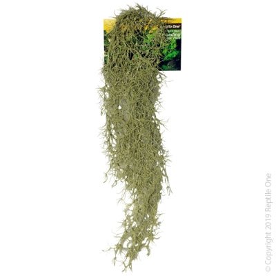 Reptile One Plant Hanging Spanish Moss Grey - Woonona Petfood & Produce