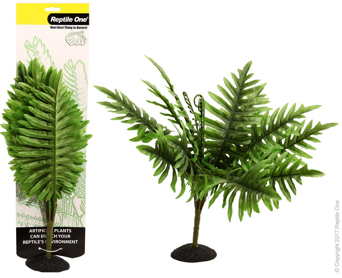 Reptile One Plant Sword Fern 40cm - Woonona Petfood & Produce