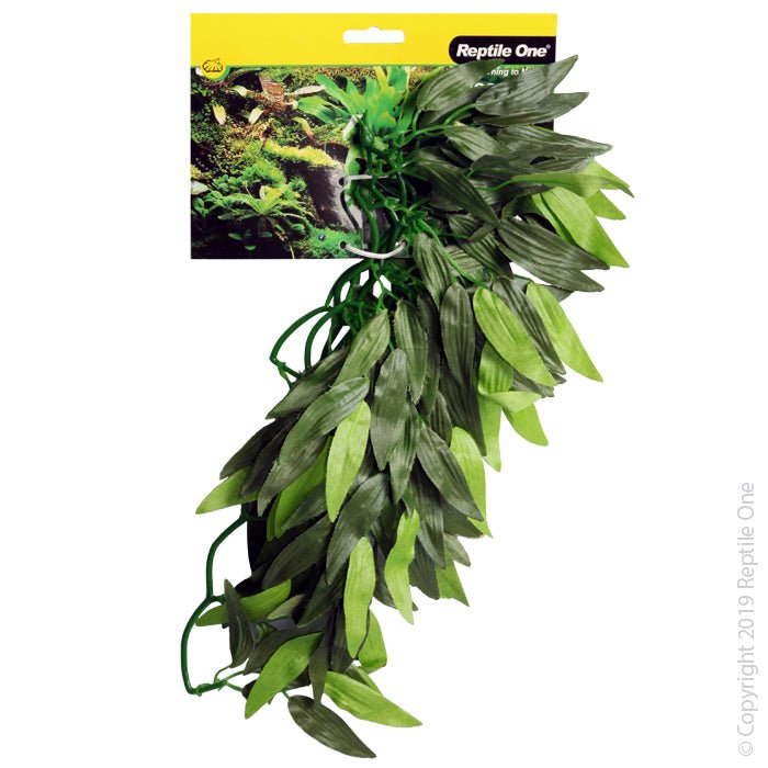 Reptile One Tradescantia Cascading Plant 40cm Green - Woonona Petfood & Produce