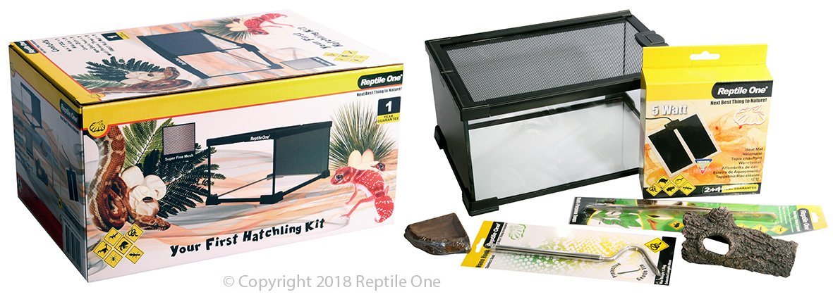 Reptile One Your First Hatchling Kit 30x20x16cm High - Woonona Petfood & Produce