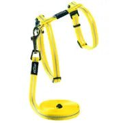 Rogz Alleycat Harness And Lead Set Dayglo Yellow