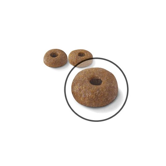 Royal Canin Dry Cat Food Digestive Care - Woonona Petfood & Produce