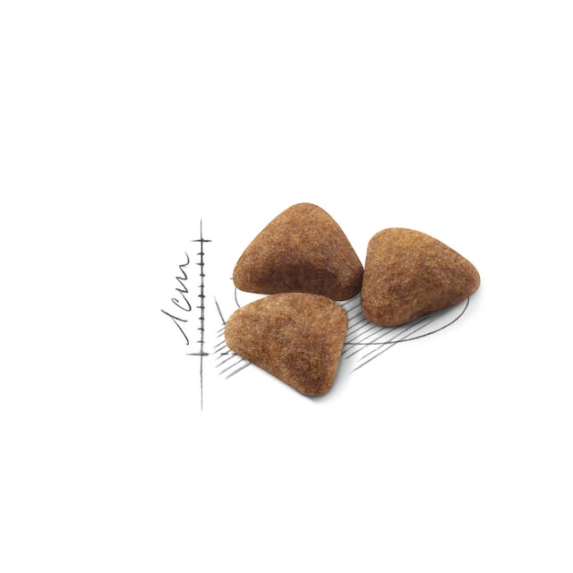 Royal Canin Dry Cat Food Indoor Adult - Woonona Petfood & Produce