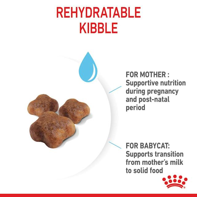 Royal Canin Dry Cat Food Mother and Babycat - Woonona Petfood & Produce