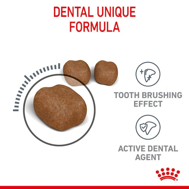 Royal Canin Dry Cat Food Oral Care Adult - Woonona Petfood & Produce