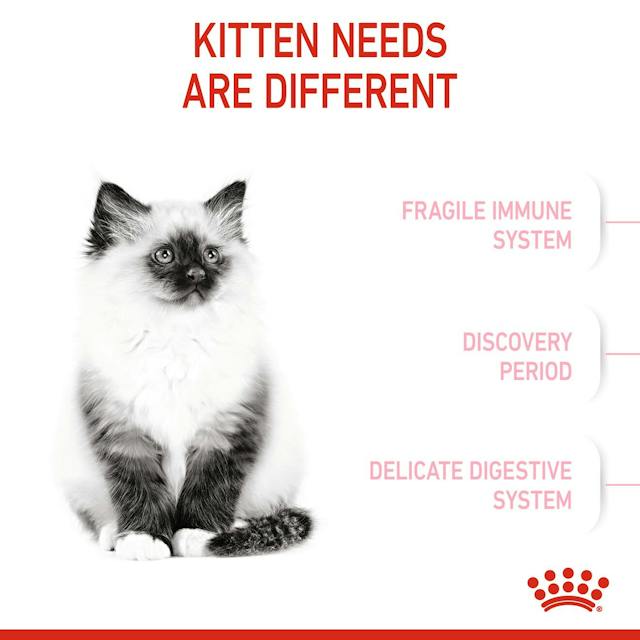 Royal Canin Dry Kitten Food - Woonona Petfood & Produce