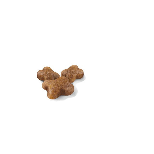 Royal Canin Dry Kitten Food - Woonona Petfood & Produce