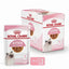 Royal Canin Wet Cat Food Kitten Gravy 12x85g - Woonona Petfood & Produce