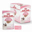 Royal Canin Wet Cat Food Kitten Loaf 12x85g - Woonona Petfood & Produce