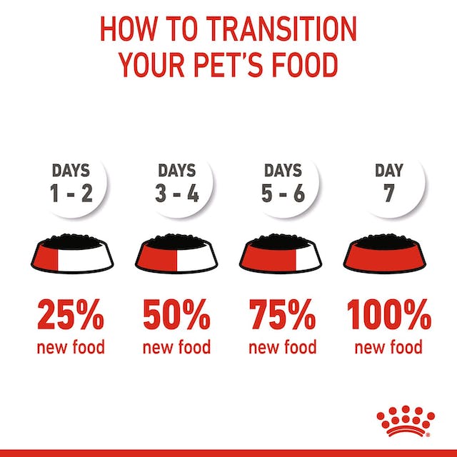 Royal Canin Wet Cat Food Kitten Loaf 12x85g - Woonona Petfood & Produce