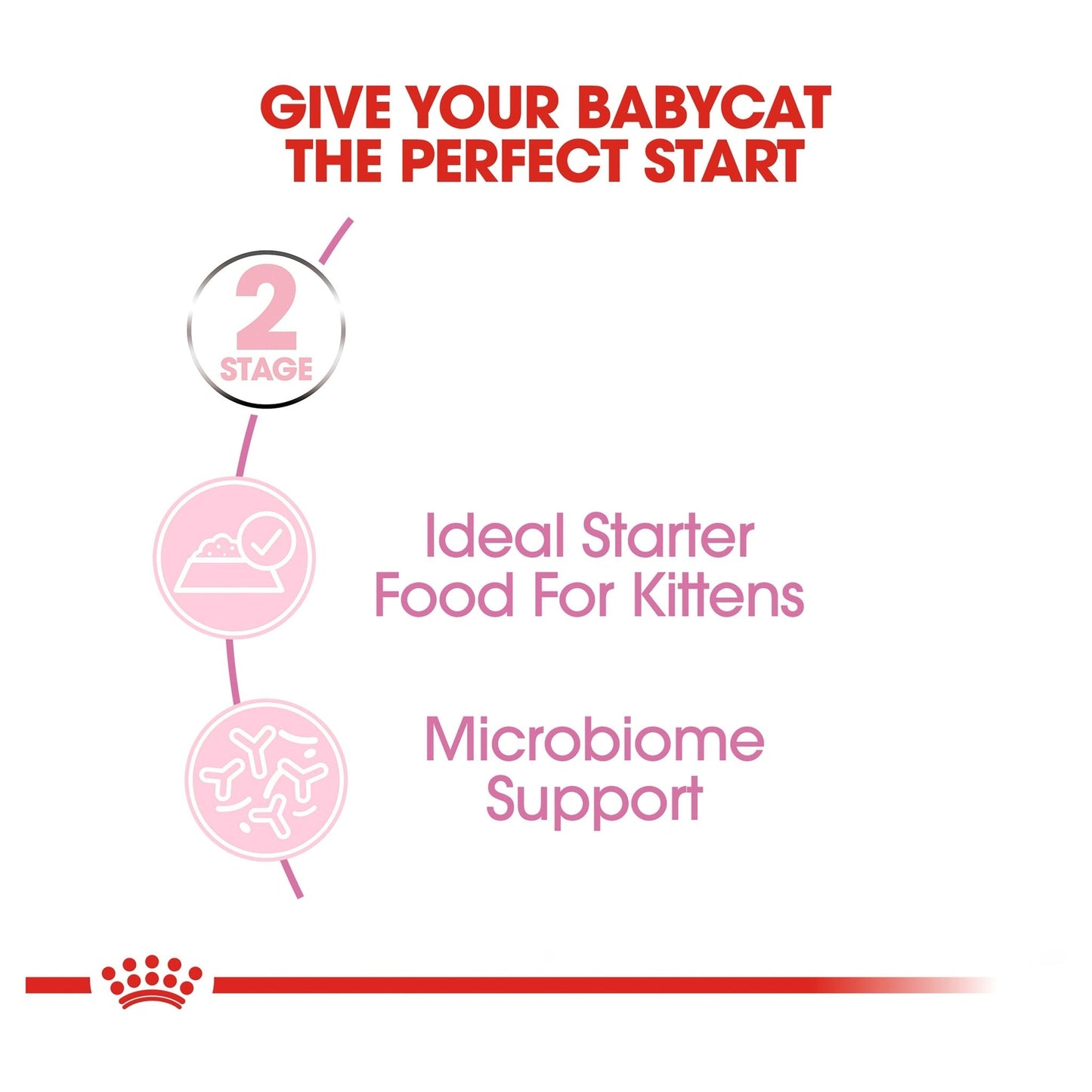 Royal Canin Wet Cat Food Mother and Babycat 24 x100g - Woonona Petfood & Produce