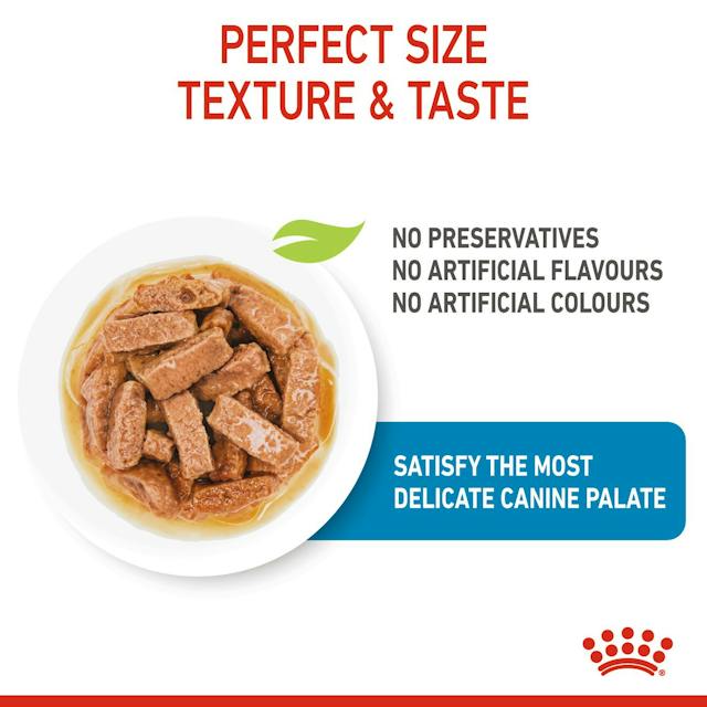 Royal Canin Wet Dog Food Maxi Puppy 140g - Woonona Petfood & Produce