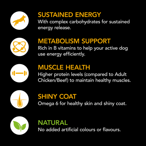 Supercoat Active Beef Purina - Woonona Petfood & Produce