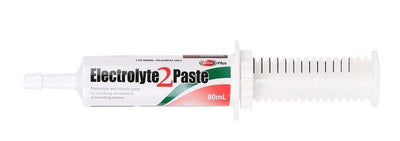 Value Plus Electrolyte 2 Paste for Horses 60ml