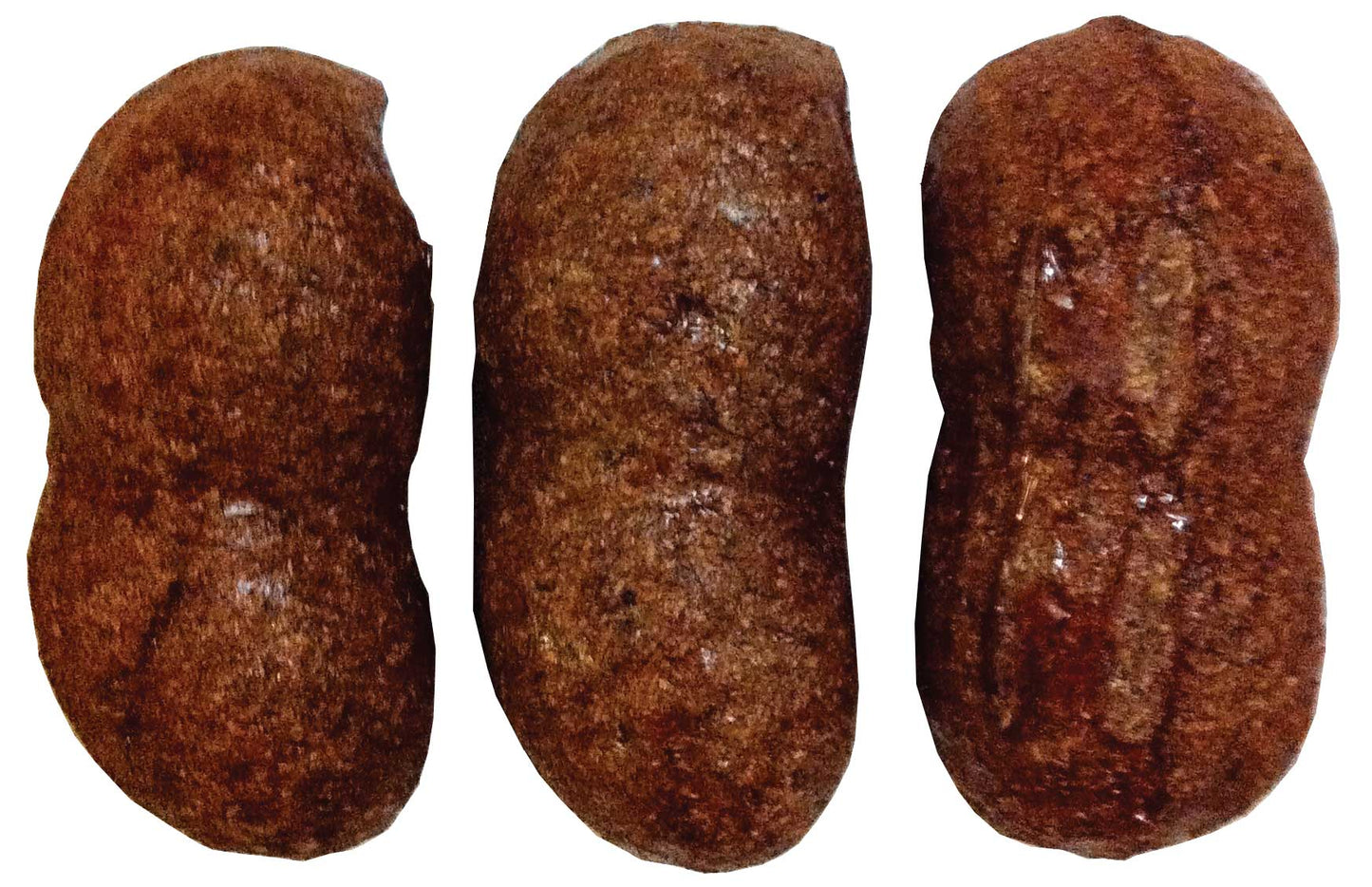 Veggie Patch Nibble Peanuts 4 Pack - Woonona Petfood & Produce