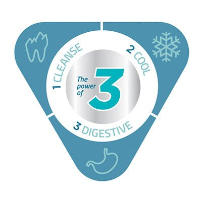 Veggiedent Fr3sh Dental Chews for Dogs 15 Pack - Woonona Petfood & Produce