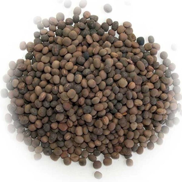 Vetch 20kg Kaylock Grains - Woonona Petfood & Produce
