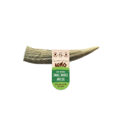 WAG Antler Dog Chew