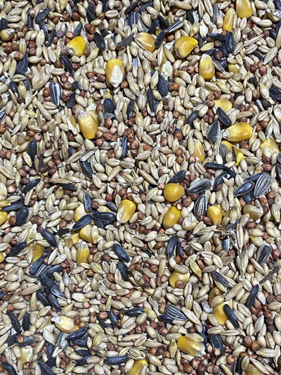 Wild Bird Mix Avigrain per
