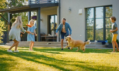 10 Budget-Friendly Tips to Manage Pet Expenses - Woonona Petfoods