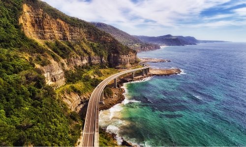 10 Of The Best Dog Friendly Places In Wollongong - Woonona Petfoods