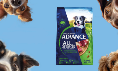 Advance All Breeds Adult Dog Food: One Simple Solution for Every Dog
