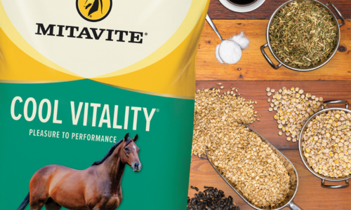 Mitavite Cool Vitality: A Smart Feeding Solution for Calm Energy and Condition