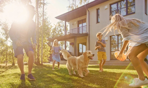 How to Pick the Right Dog Breed for Your Lifestyle