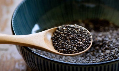 Can Feeding Horses Chia Seeds Prevent Stomach Ulcers? - Woonona Petfood & Produce