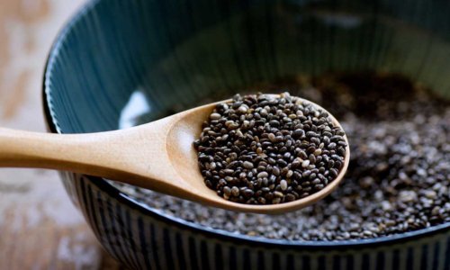 Can Feeding Horses Chia Seeds Prevent Stomach Ulcers? - Woonona Petfood & Produce