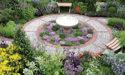 Growing a Pet-Friendly Garden at Home: Transform Your Outdoor Space with Herbs, Vegetables & Flowers from Woonona Petfoods - Woonona Petfoods