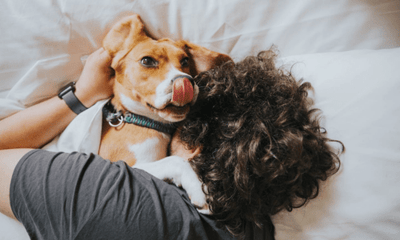 How Pets Help with Mental Health - Woonona Petfoods