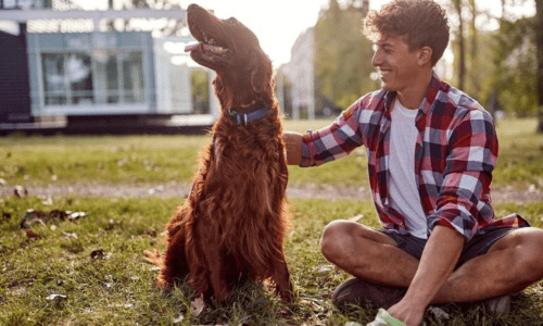 How to Make Pet Care Sustainable - Woonona Petfoods