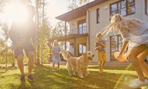 How to Pick the Right Dog Breed for Your Lifestyle - Woonona Petfoods