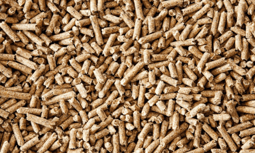 How to Set Up & Maintain a Clean Stable with Equine Pure Bedding - Woonona Petfoods