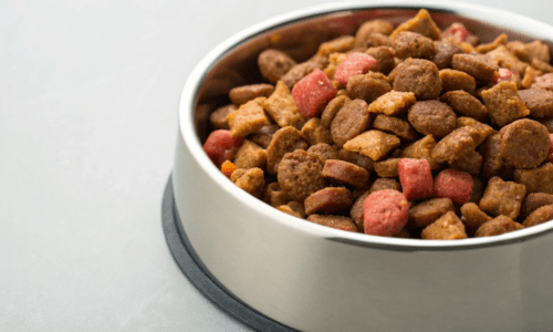 Mixed Feeding for Dogs: The Benefits of Combining Wet and Dry Food - Woonona Petfoods