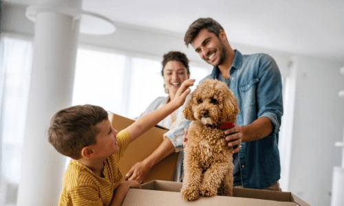 Pet Insurance: Protecting Your Furry Friend’s Health and Your Wallet - Woonona Petfoods