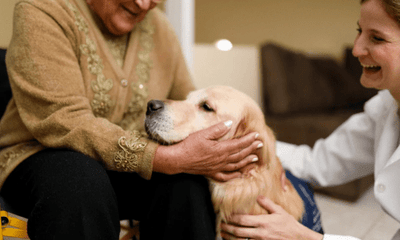 Push for More Aged Care Facilities to Allow Residents to Keep Pets - Woonona Petfoods