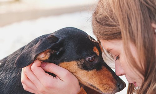 Responsible Pet Ownership - Woonona Petfoods