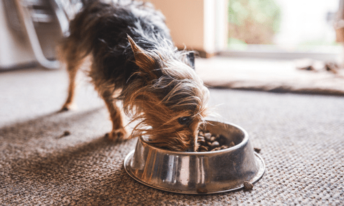 Single Protein Diets for Dogs - Woonona Petfoods
