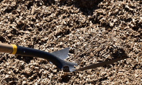 The Benefits of Eucalyptus Mulch for Your Garden - Woonona Petfoods