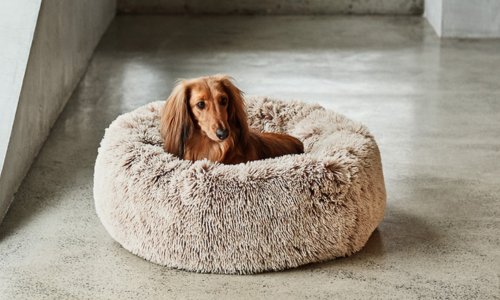 The Best Snooza Dog Beds - Woonona Petfoods