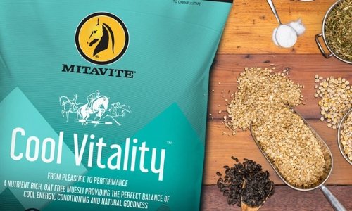 Mitavite Cool Vitality - Woonona Petfood & Produce