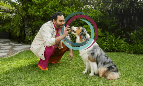 Why Simparica Trio is the Ultimate All-in-One Protection for Your Dog - Woonona Petfoods