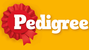 Pedigree Wet Dog Food image