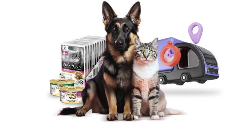 auto delivery banner