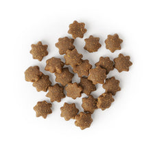 SavourLife Grain Free Adult Dental Dry Dog Food 10kg