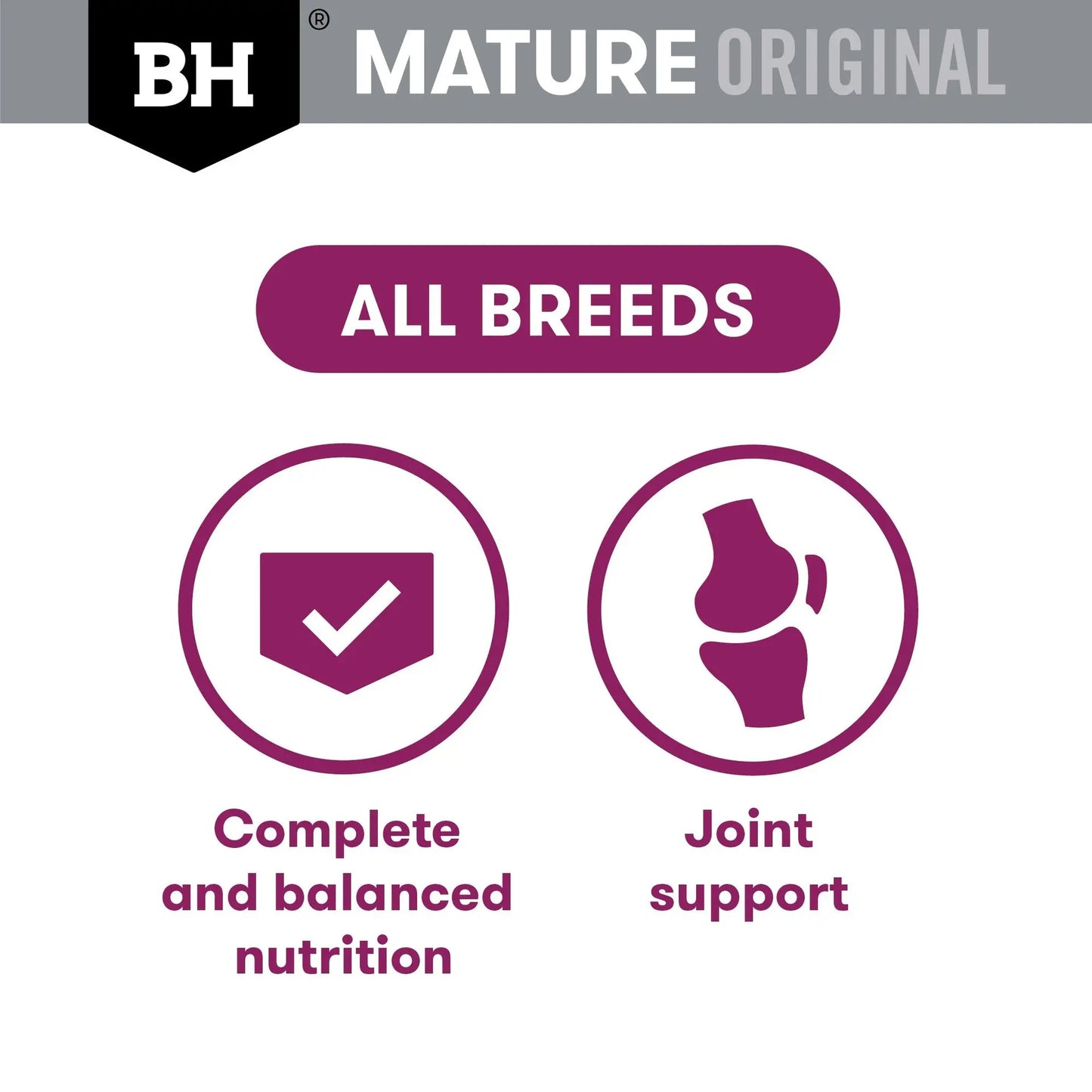 Black Hawk Wet Dog Food Mature 7+ Lamb and Vegetables 85g