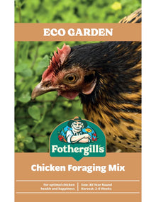 Mr Fothergills FOT Chicken Foraging Mix