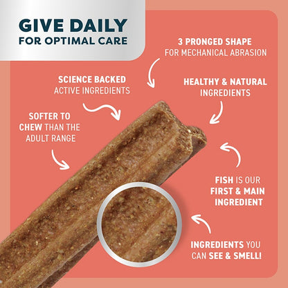 Bell & Bone Puppy Dental Chews Salmon and Carrot